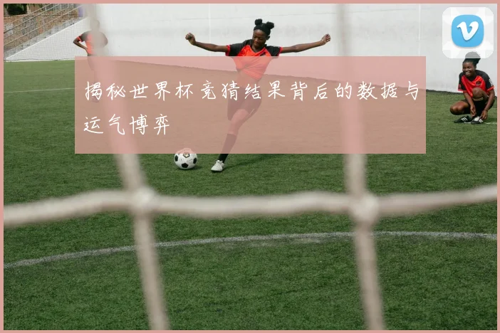 揭秘世界杯竞猜结果背后的数据与运气博弈