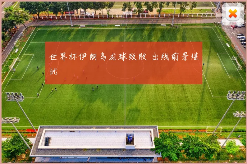 世界杯伊朗乌龙球致败 出线前景堪忧