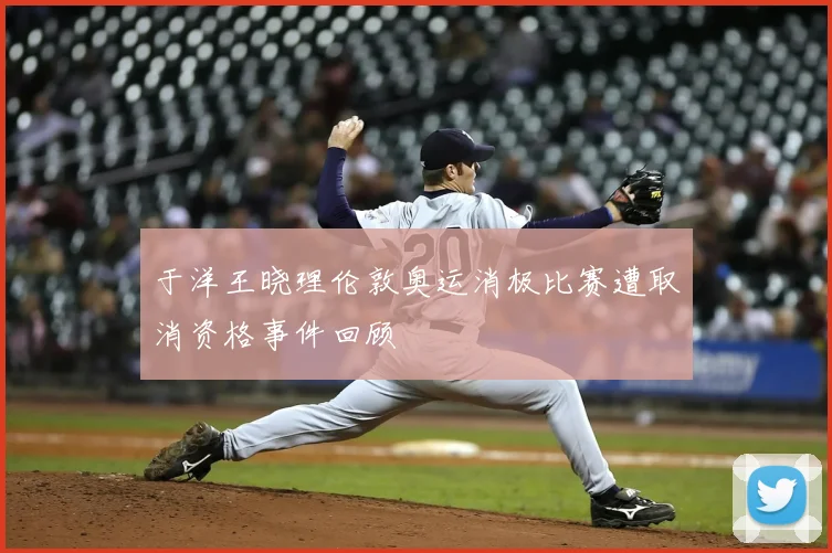 于洋王晓理伦敦奥运消极比赛遭取消资格事件回顾