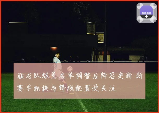 猛龙队球员名单调整后阵容更新 新赛季轮换与锋线配置受关注